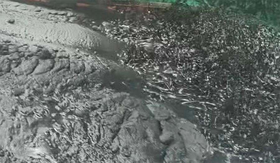 中型脱水筛入料端煤泥水混合物